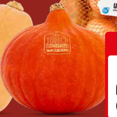 Jumbo ajuin en biologische pompoenen