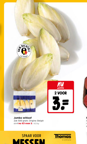 Jumbo witloof